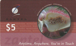 Zanzibar, TZN-REF-ZAN-011, Botanics Of Zanzibar, Lipstick Tree, 2 Scans . - Tanzania