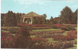 HERSHEY ROSE GARDEN - Harrisburg