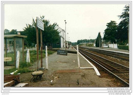 GEDINNE ..--  La GARE .           ATTENTION , Ceci Est Une PHOTO !!! - Gedinne