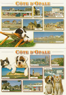 Cote D'opale-boulogne-cap Gris Nez-blanc Nez-berck-wimereux-calais-le Touquet-lot  2 Cartes-chat-chien-cpm - Nord-Pas-de-Calais