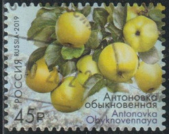 Russie 2019 Yv. N°8021 - Pommes De Russie - Antonovka Obyknovennaya- Oblitéré - Oblitérés