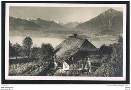 Blick Von Sigriswil Auf Thunersee Und Die Alpen - 1926 Stamp Suisse Switzerland ( 2 Scans ) - Sigriswil