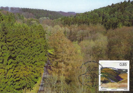 Luxembourg 2011 Carte Maximum Europa Fôret ¦ Forest ¦ Wald - Briefe U. Dokumente