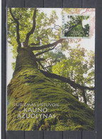 Lithuania 2016 Cartmaximum Kaunas Oakwood Park - Lithuania