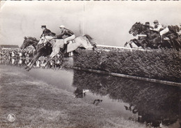 Waregem, Paardewedrennen, Sprong Over De Beek (pk76361) - Waregem