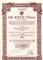 Action De Dividende Sans Mention De Valeur - Peintures - Usines DE KEYN Frères S.A. - Bruxelles Janvier 1948. - Industrial