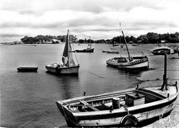 St Brévin Les Pins * Le Port Et La Côte De Mindin - Saint-Brevin-les-Pins