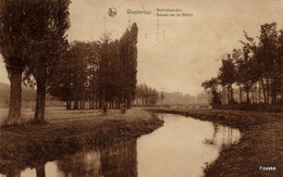 * 9.5 - Westerlo / Westerloo - Netheboorden - Bords De La Nèthe - Westerlo