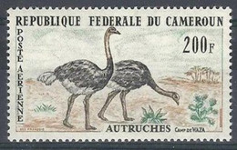 CAMEROUN  - Autruches - Avestruces