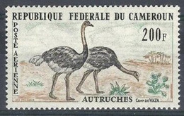 CAMEROUN  - Autruches - Autruches