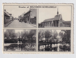 GROETEN UIT BRUINBEEK  SCHELLEBELLE - Wichelen