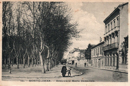 Montélimar, Boulevard Marie Demarais (Marre Desmarais) Près Du Parc - Carte N° 12 - Montelimar