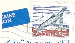 SUEDE TP Sur Carte Postale Entière - Storia Postale