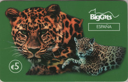 SPAIN : CMOS2M 5 EUR BIG CATS Leopard / Rev. Code BCT.ES.E05-P USED - Altri & Non Classificati