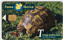 SPAIN ESP61 1000pta FAUNA Tortuga Mediterranea Turtle USED - Sonstige & Ohne Zuordnung