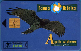 SPAIN ESP59 1000pta FAUNA Aguila Culebrera USED - Andere & Zonder Classificatie