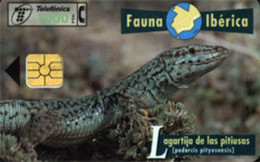 SPAIN ESP58 1000pta FAUNA Lagartija De Las Pittiusas USED - Other & Unclassified