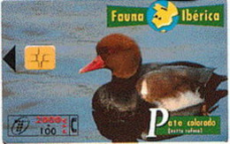 SPAIN ESP55 2000pta FAUNA PATO COLORADO  Duck USED  (x) - Autres & Non Classés