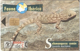 SPAIN ESP53 2000pta FAUNA Salamanquesa Comun USED - Sonstige & Ohne Zuordnung