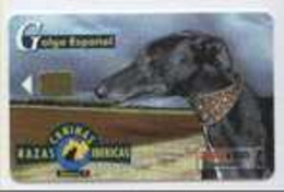 SPAIN ESP52 2000pta FAUNA Galgo Espanol Dogs USED - Altri & Non Classificati