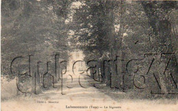 Montredon-Labessonnié (81) : La Villa "La Sigourre" De Labessonnié Prise De L'allée En 1910 PF. - Montredon Labessonie