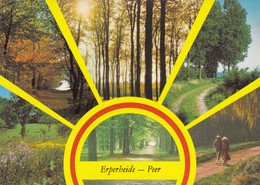 Peer, Erperheide (pk76396) - Peer