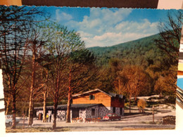 Cartolina Bocca Della Selva Matese Prov Benevento Rifugio Campi Da Sci 1971 - Benevento