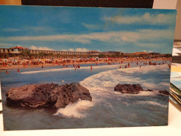 Cartolina Gallipoli Prov Lecce  Lido S.Giovanni Panorama 1971 Spiaggia - Lecce