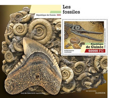 2020-10- GUINEA- FOSSILS      IV      MNH** - Fossils