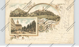 0-6901 SEITENRODA, Lithographie, Gruß Von Der Luchtenburg - Eisenberg