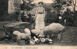 En Limousin, Déjeuner En Famille - Cochons Et Canard à La Ferme - Carte C.T. N° 11 - Limousin