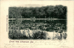 1901 SCHWARZER SEE  Stempel SELLIN - Rudesheim Am Rhein ,  Gute Zustand, 2 Scan - Sellin