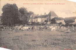 Montigny-sur-Aube         21      Vacherie Du Château De Beauregard      (Voir Scan) - Other & Unclassified