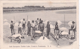 OCEANIE - SOUTH AUSTRALIA - SEL RACLEURS TUBBES PÉNINSULE DU LAC YORKE AUSTRALIE DU SUD - Autres & Non Classés