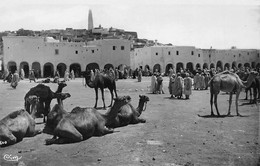 Algérie - GHARDAÏA - Place Du Marché - Dromadaires - Ghardaïa