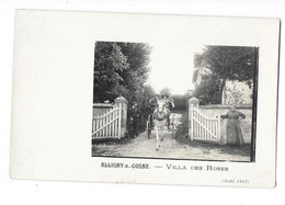 ALLIGNY COSNE (58) Carte Photo Villa Des Roses Attelage Animation - Autres & Non Classés