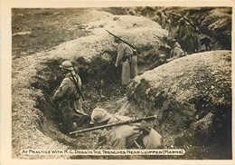 Photo Cartonnée US Guerre 14/18 WW1 - Chiens En Action Dans Les Tranchées Près De Suippes (Marne) - Guerra, Militari