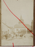 Wellin Ancienne Photo Bromurée L'église Troupeaude Vaches 9X12cm - Wellin