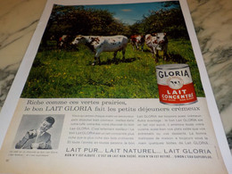 ANCIENNE PUBLICITE  LAIT CONCENTRE GLORIA 1962 - Afiches