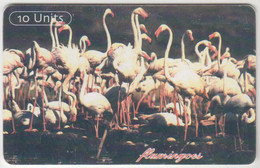 TANZANIA - Flamingos ,Chip:GEM5 (Red), 10 U , Used - Tanzania