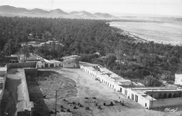 Algérie - LAGHOUAT - Oasis Nord Et L'Oued - Collection Attalah Bouameur, Musée Oriental - Laghouat