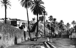 Algérie - LAGHOUAT - Marabout De Sidi-Abdel-Kader - Collection Attalah Bouameur, Musée Oriental - Laghouat
