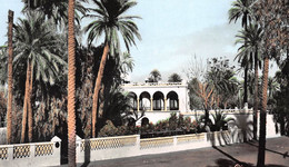 Algérie - LAGHOUAT - Hôtel Transatlantique - Collection Pignella - Laghouat