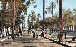 Algérie - LAGHOUAT - Place De La République - Collection Attalah Bouameur, Musée Oriental - Laghouat