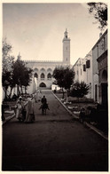 Algérie - LAGHOUAT - Vue Sur La Mosquée - Epreuve De L'éditeur - Tirage Photo - Laghouat