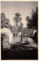Algérie - LAGHOUAT - Vue Partielle - Epreuve De L'éditeur - Tirage Photo - Laghouat
