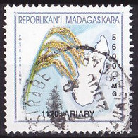 Timbre Oblitéré N° 2584(Michel) Madagascar 2001 - Grains De Riz - Madagascar (1960-...)