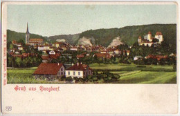 15505 Ak Gruß Aus Burgdorf In Der Schweiz Um 1900 - Dorf