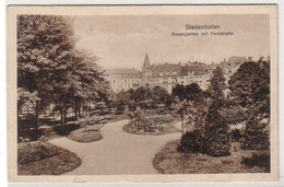 17443 Ak Diedenhofen In Lothringen Rosengarten Mit Parkstraße 1916 - Lothringen