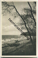 Fehmarn - Katharinenhof - Brandung - Foto-AK 30er Jahre - Verlag E. Niederlechner Burg - Fehmarn